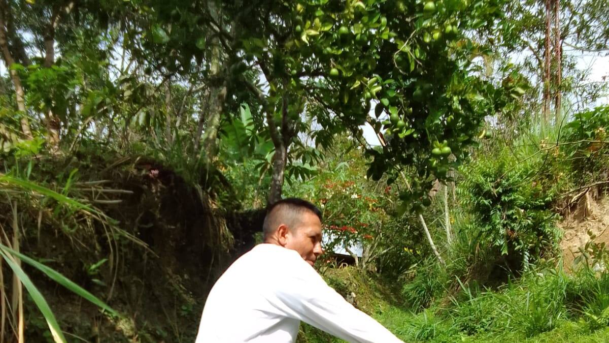 Bajo nueva modalidad se robaron bicicleta de $5 millones