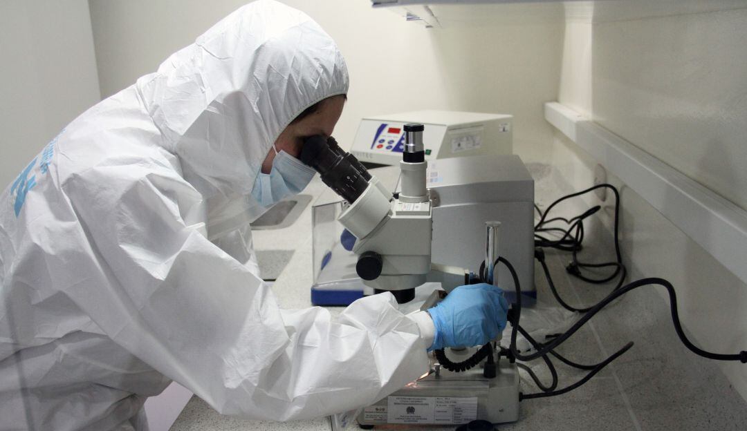 Imagen de referencia