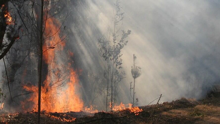 Ideam alerta por amenaza de incendio en los próximos meses. Foto: Colprensa