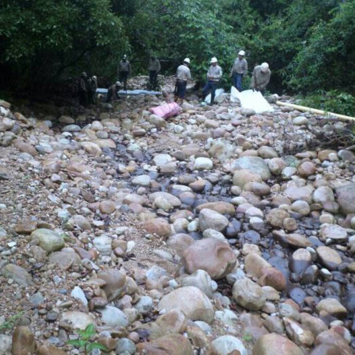 Atentado al Oleoducto Caño Limón Coveñas contaminó una quebrada en Cubará, Boyacá