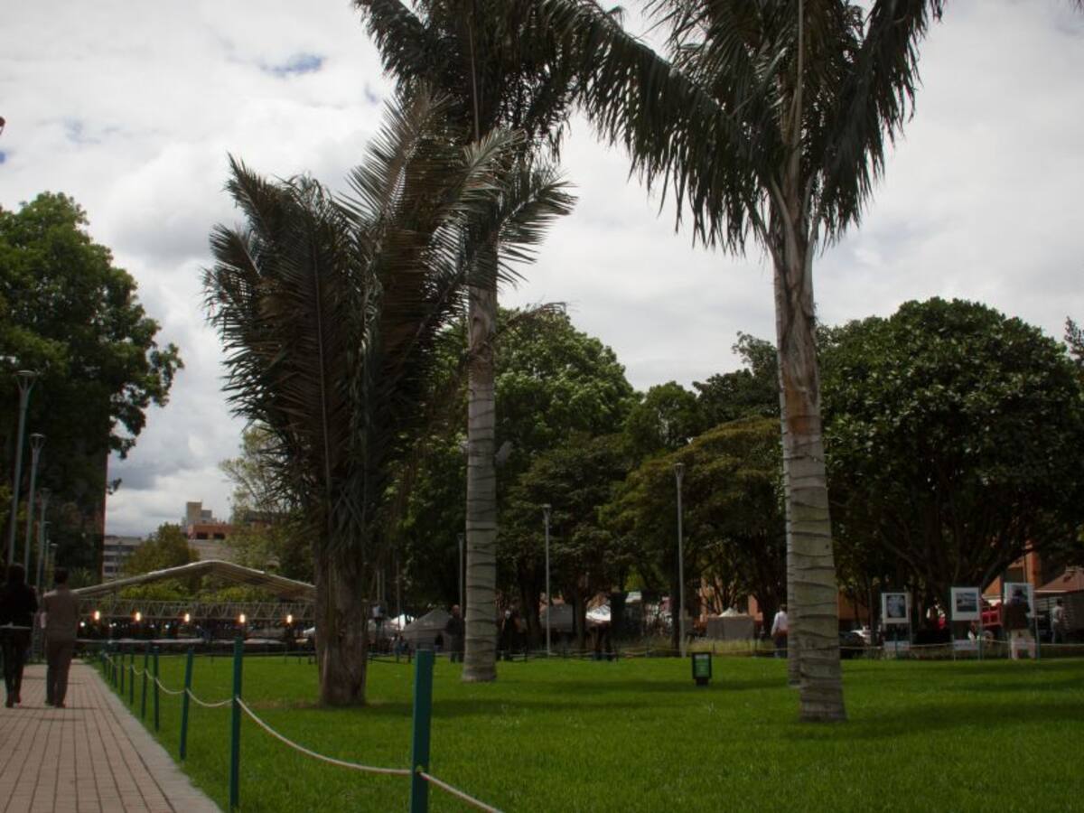 El Jardín Botánico se reinventa en esta cuarentena