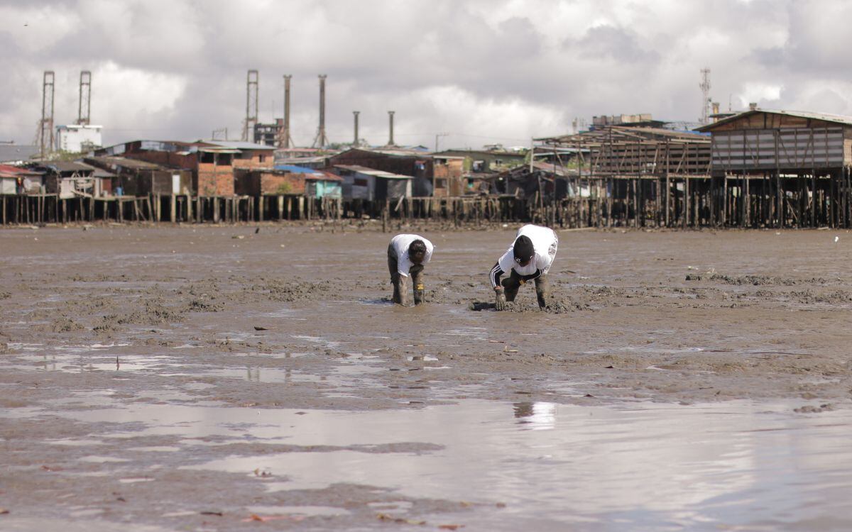 Protección en el estero San Antonio en Buenaventura. Foto Cortesía