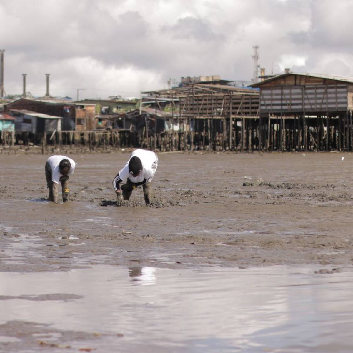 La JEP amplia por 10 meses más la protección al Estero San Antonio en Buenaventura