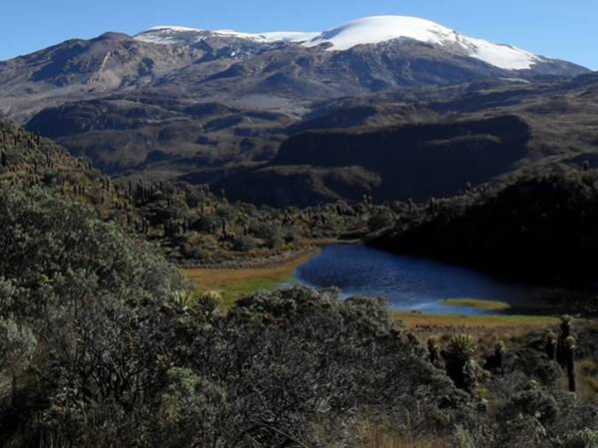 Este 23 de noviembre Risaralda, Caldas y Quindío firmarán un contrato plan para reforestar la región