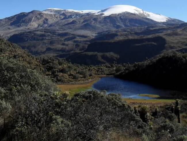 Jaime Alberto Martínez, ciudadano quindiano que busca la integración regional