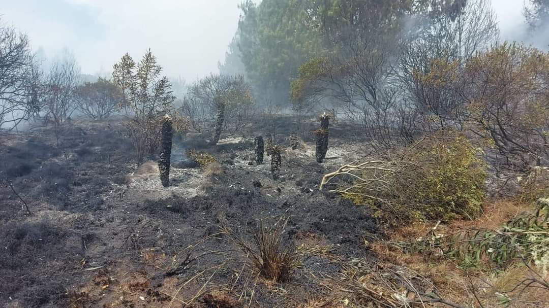 70 personas luchan por extinguir las llamas del incendio forestal en la zona de páramo