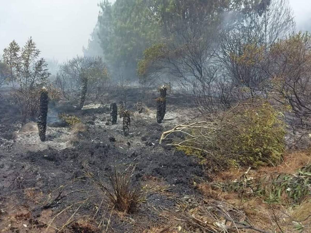 Cinco cuerpos de bomberos atienden incendio forestal de Firavitoba y Tibasosa