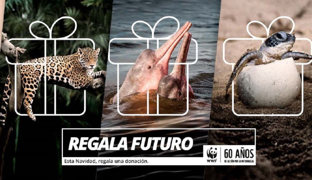 Campaña "Regalo Futuro"