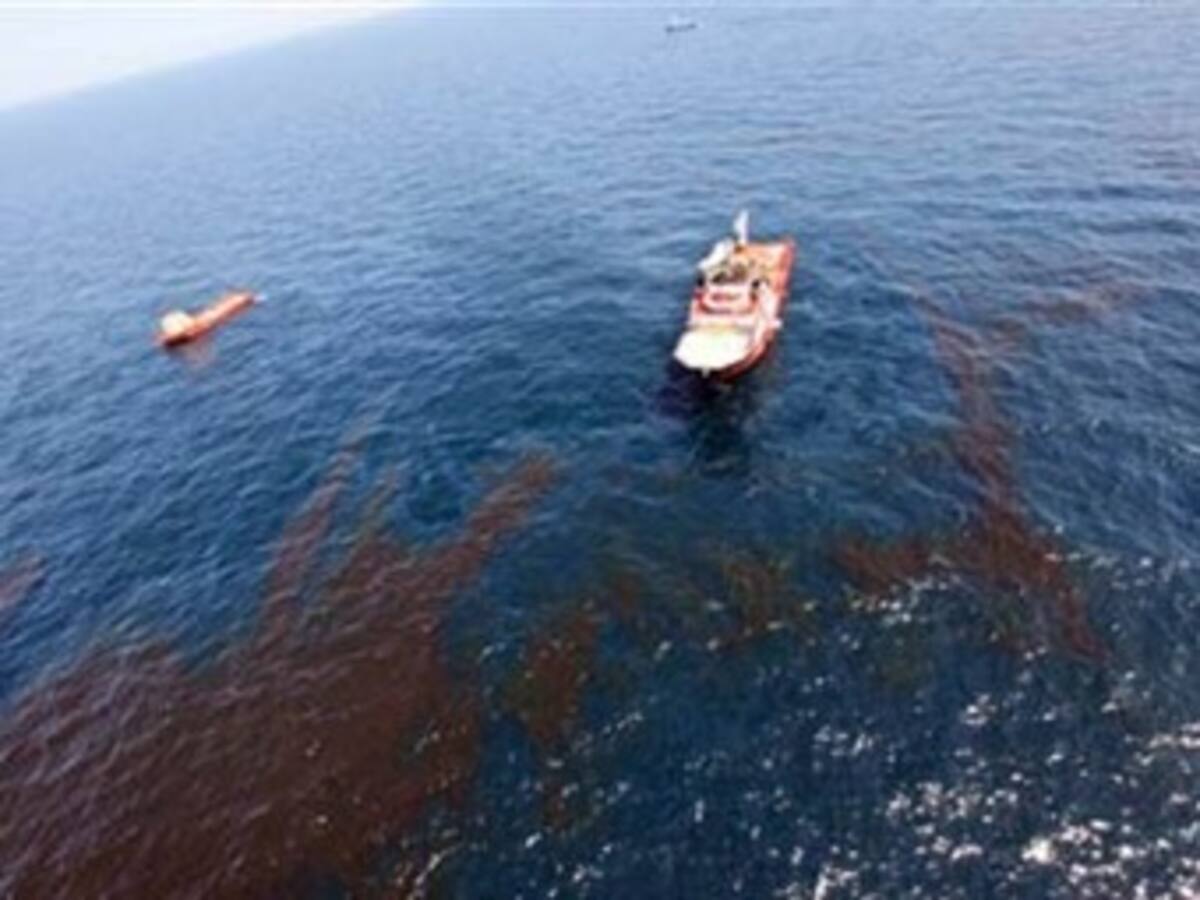 Vertido de crudo en el Golfo de México toca tierra por primera vez