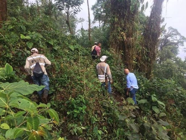 Por primera vez en Dagua, Valle, se tiene registro de un oso de anteojos