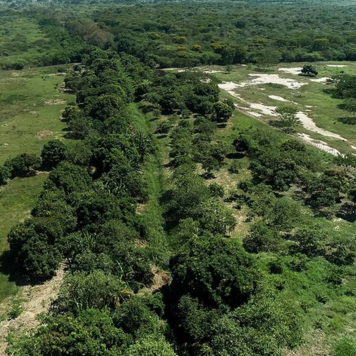 Corpamag retoma mantenimiento del caño El Salado en Remolino