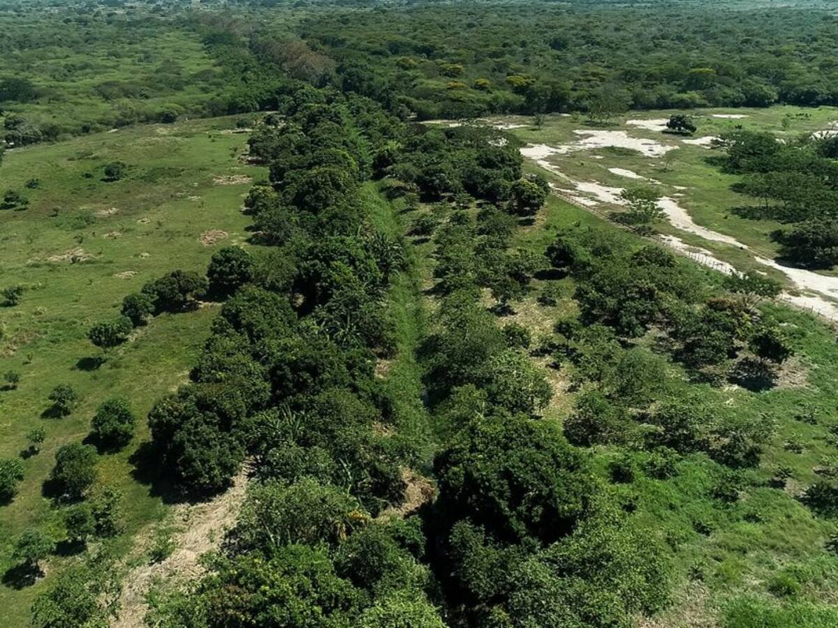 Corpamag retoma mantenimiento del caño El Salado en Remolino