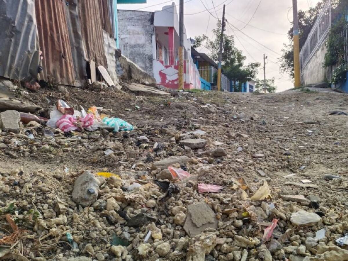 'La Pajarera': tres años esperando pavimentación de la calle principal