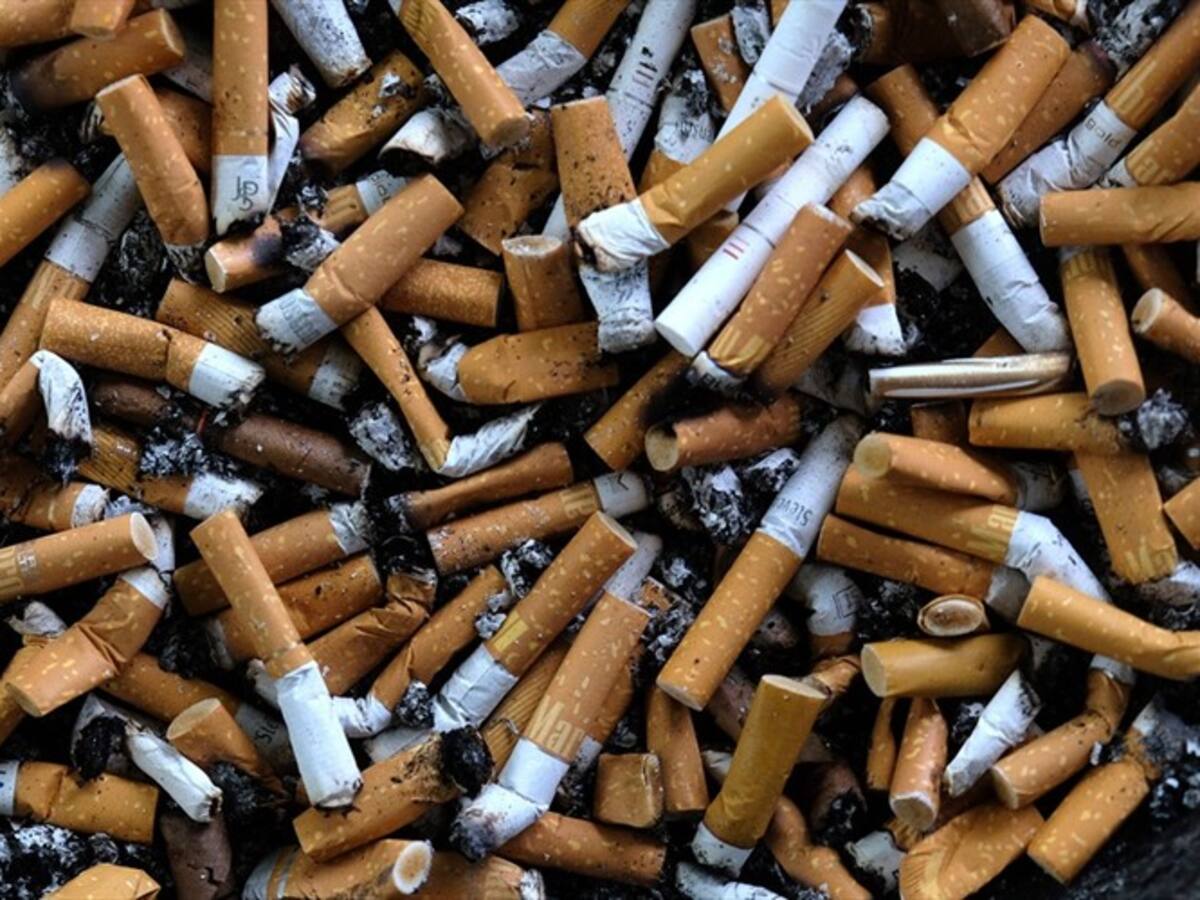 Controversia por ejecución de proyecto que prohíbe fumar en parques de Bogotá