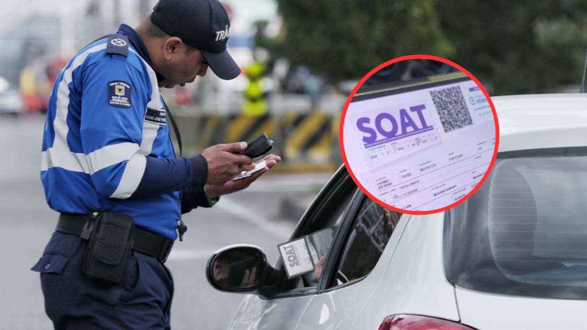 SOAT 2024: Lista de vehículos que deberían pagar menos de 500 mil pesos por el seguro