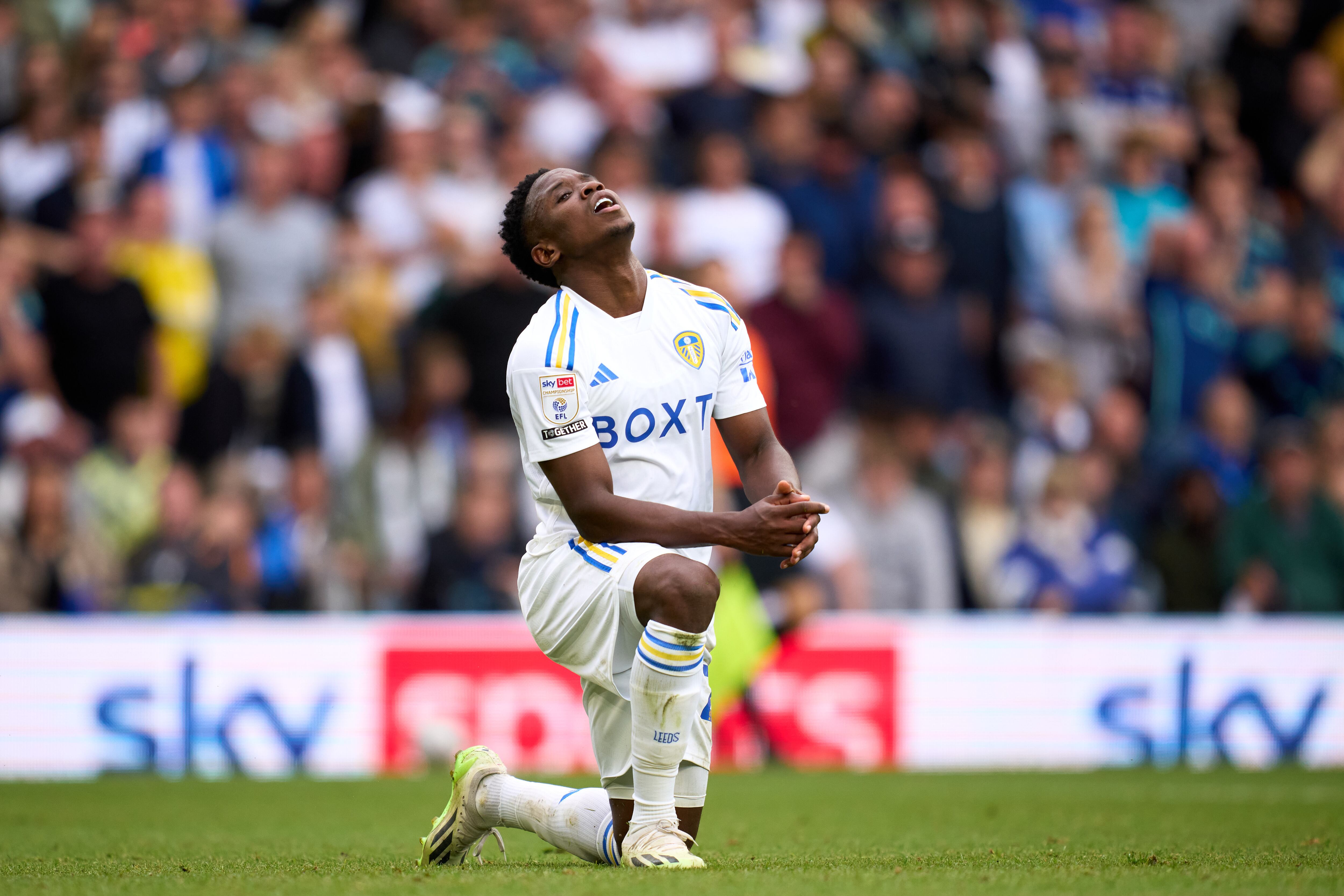 Luis Sinisterra frente al Cardiff City en Elland Road (Photo by Alex Caparros/Getty Images)