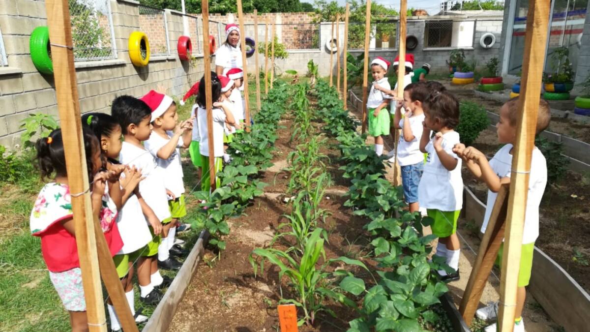 Comunas Verdes, para impulsar el cultivo de alimentos en la ciudad