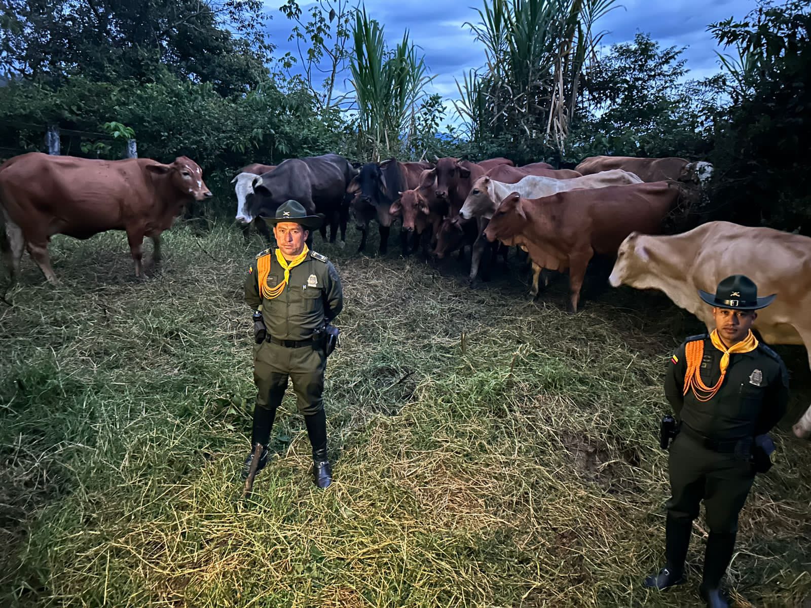 Crédito: Policía Nacional. 