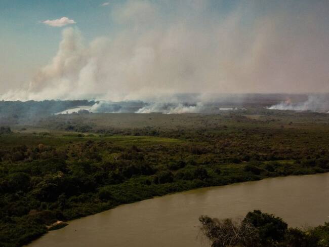 Incendios fuera de control en la región de Pantanal en Brasil. 