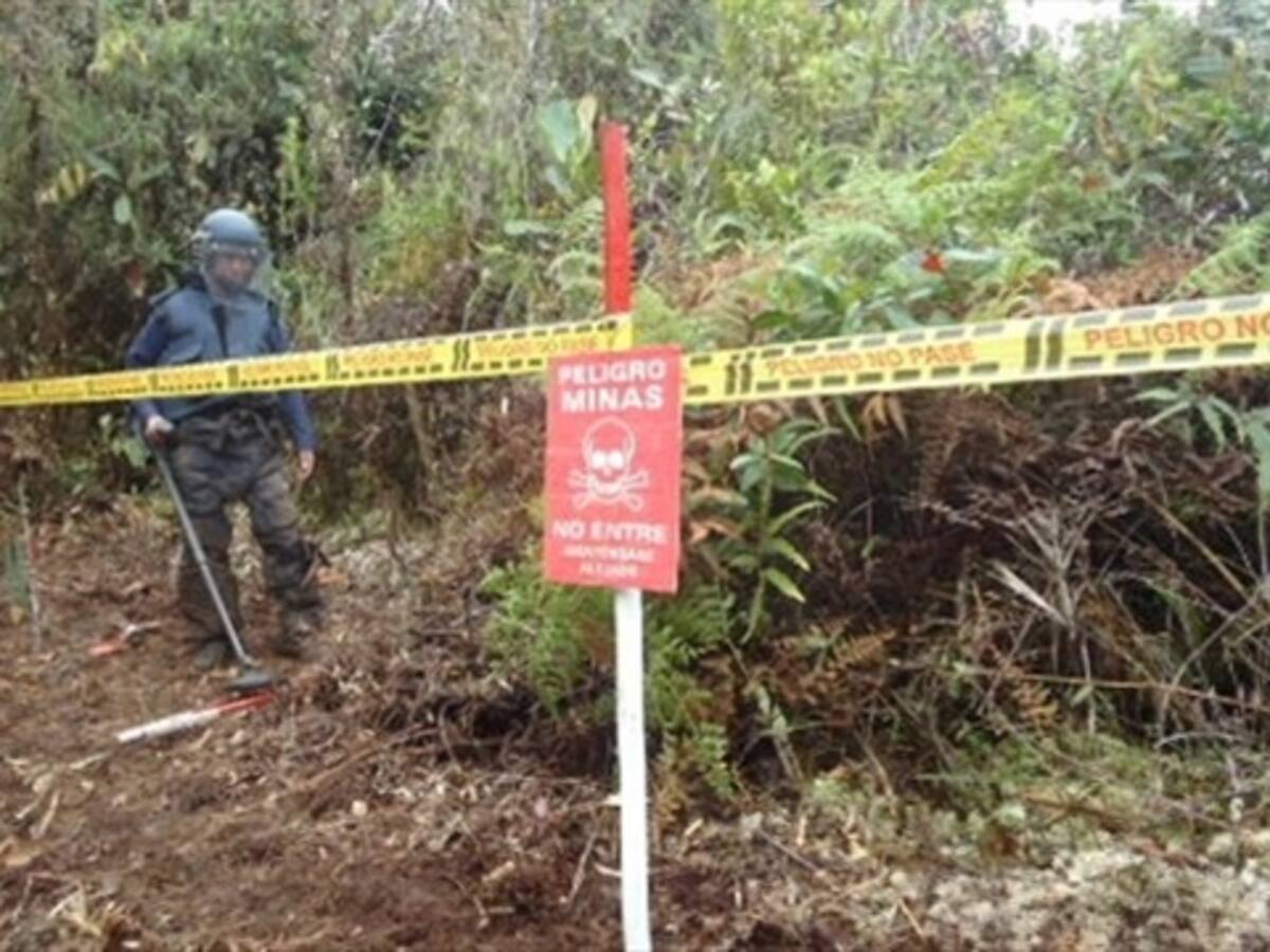 Esta semana reinicia el desminado en la vereda Orejón de Briceño