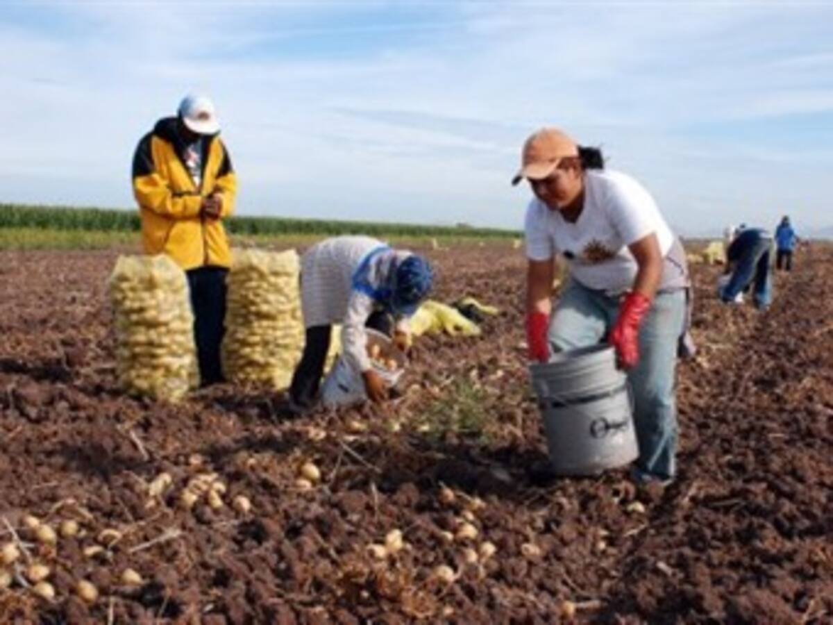 Paperos en Boyacá organizan protesta ante difícil situación económica