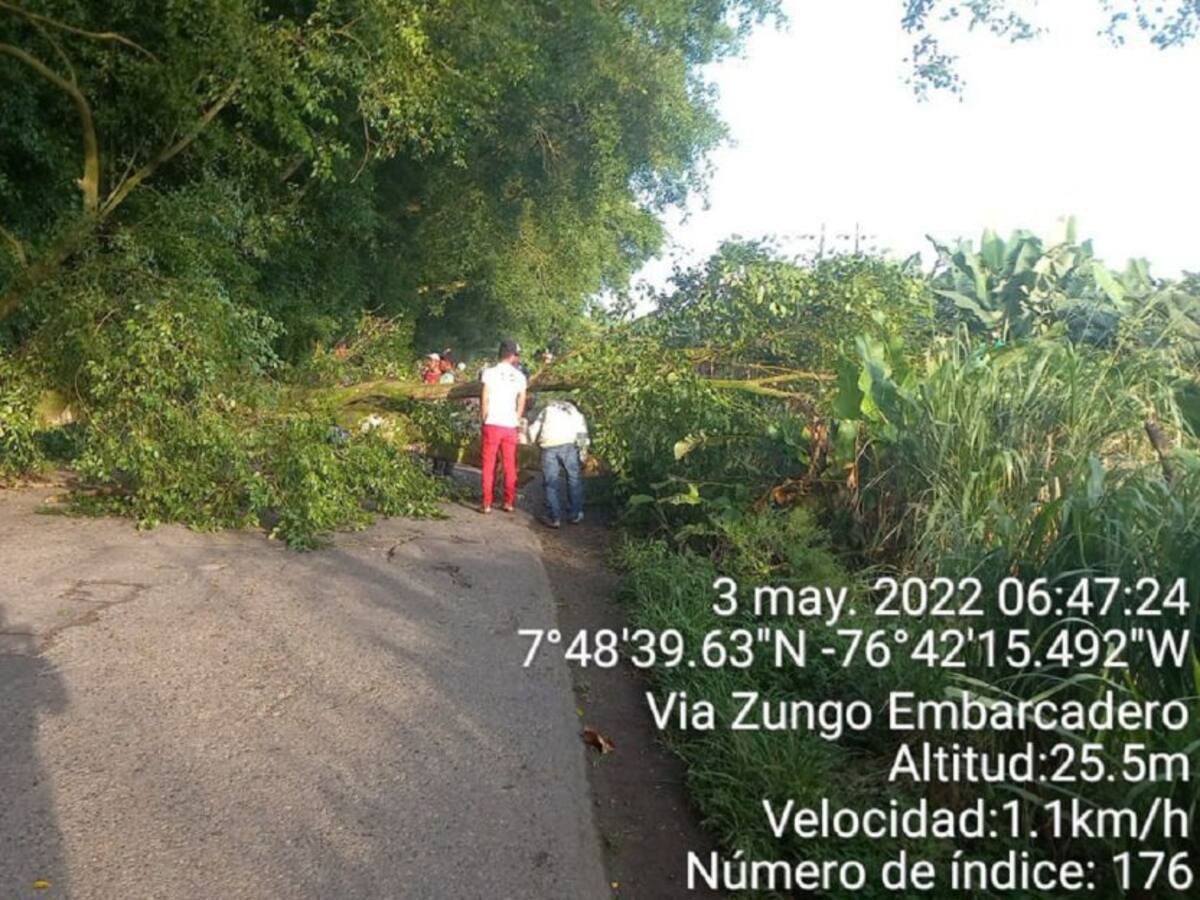 El Bloqueo de la vía al aeropuerto de Carepa generó cancelaciones de vuelos