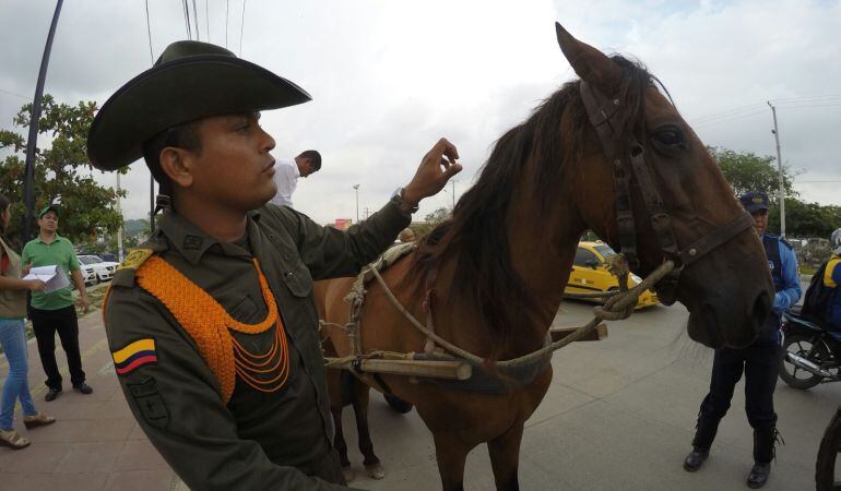 Foto: Alcaldía Mayor de Cartagena. 