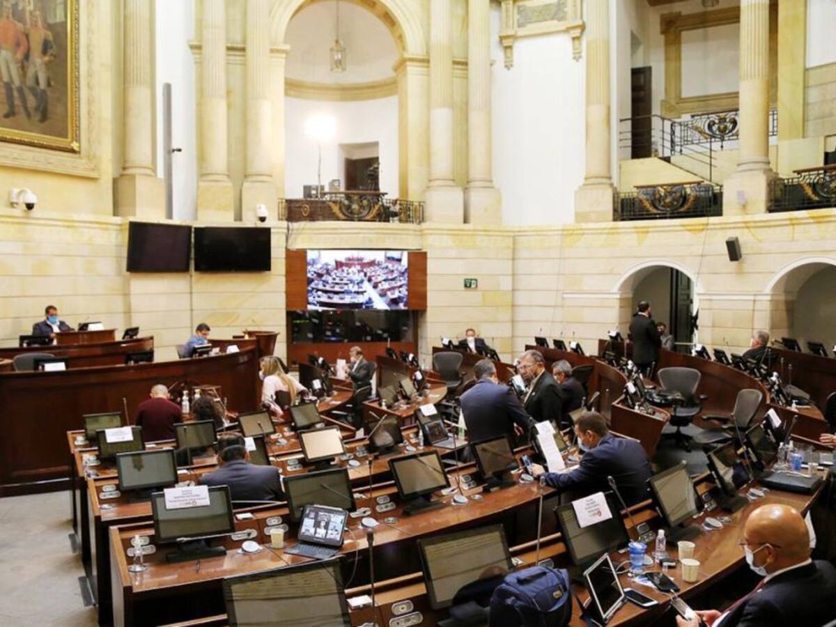 ¿Qué cambios introdujo la Constitución del 91 en representación política?