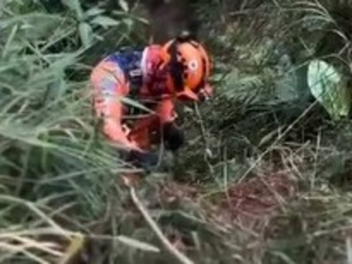 Perro cayó a precipicio de 40 metros en el Salto del Duende: llevan días rescatándolo