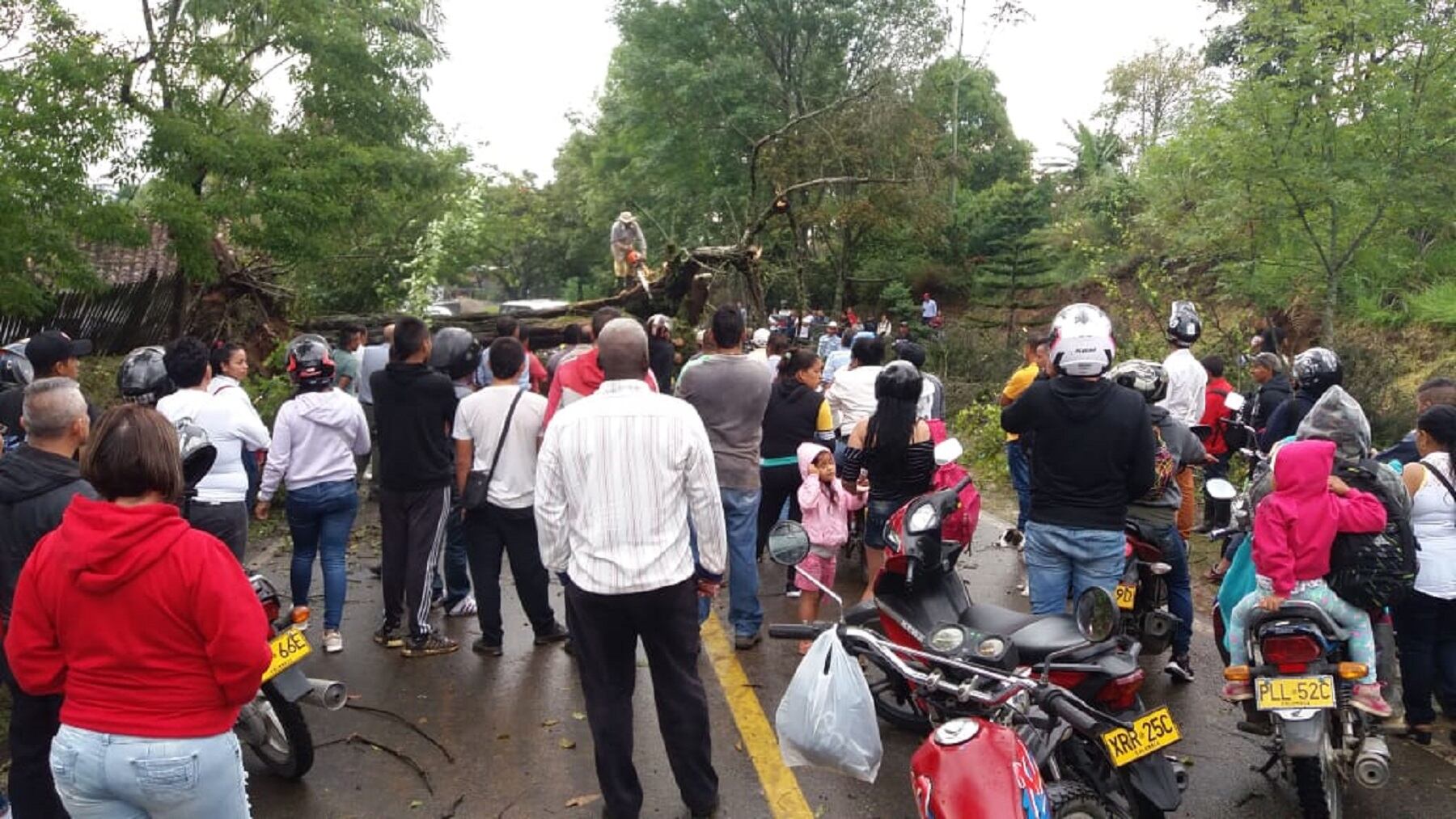 Líderes de municipios como Pitalito, Garzón y Algeciras han tenido que abandonar el territorio por diferentes intimidaciones.
