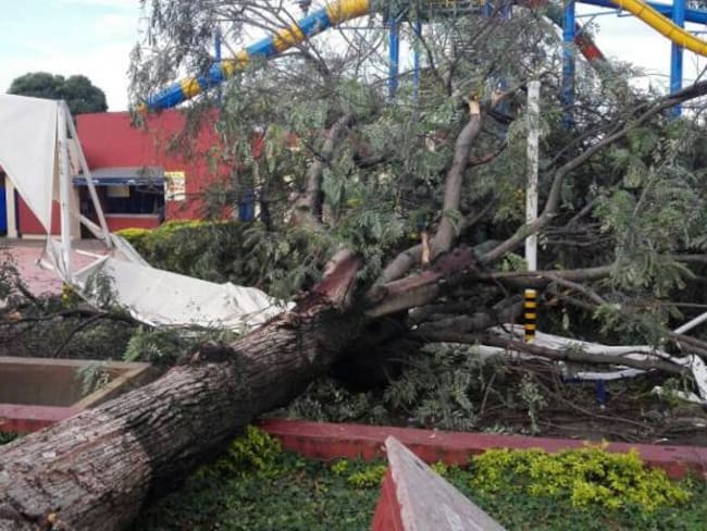 Un muerto y cerca de 30 heridos dejó la caída de un árbol en el Parque de la Caña