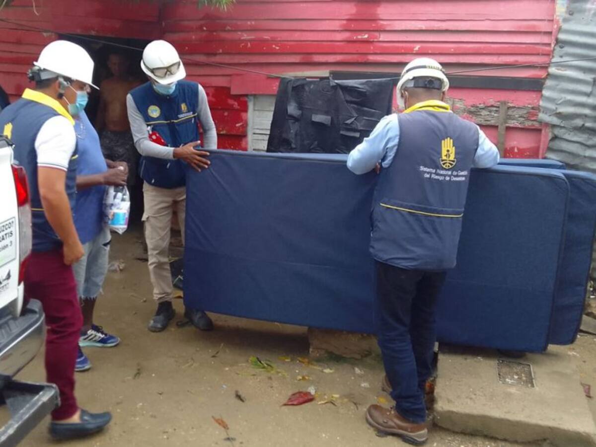 Árboles caídos y dos viviendas afectadas tras fuertes lluvias en Cartagena