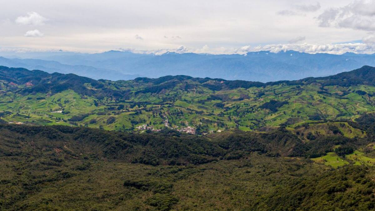 Protegiendo los bosques del pacífico y los páramos