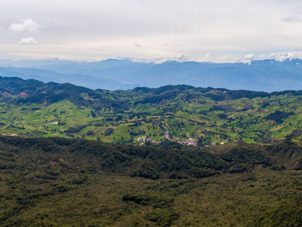 Protegiendo los bosques del pacífico y los páramos