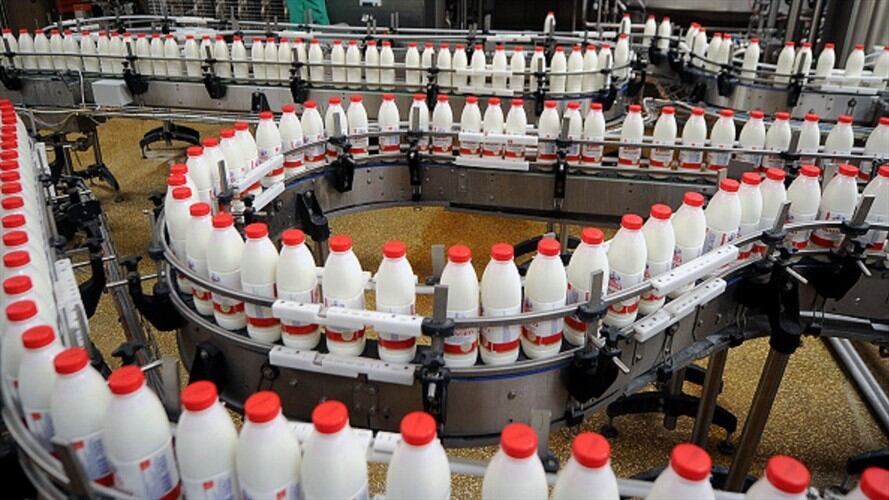 Por brotes de fiebre aftosa, México suspendió exportaciones de lácteos de Colombia. Foto: Getty Images