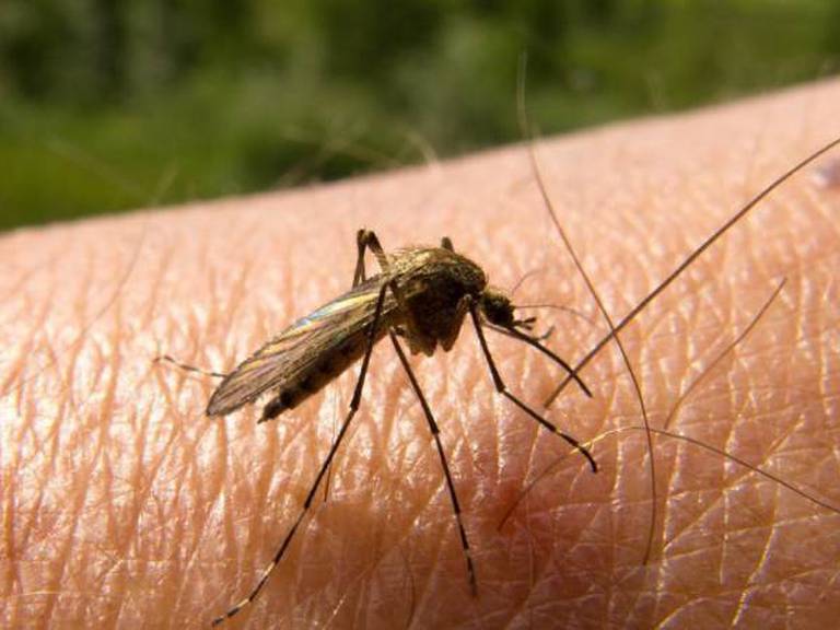 Foto: archivo Colprensa.