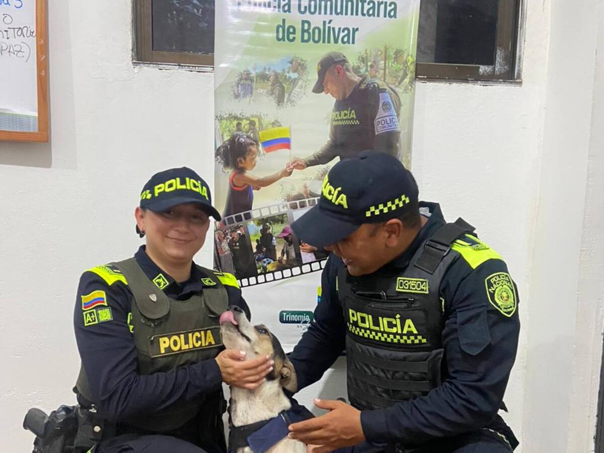 Policía rescató a perro que había sido maltratado con un machete en Bolívar