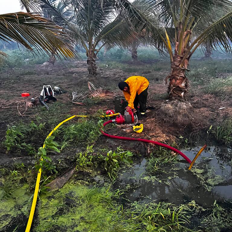 Liquidan incendio forestal que afectó más 40 hectáreas en el Vía Parque Isla de Salamanca. Foto: Gobernación del Magdalena