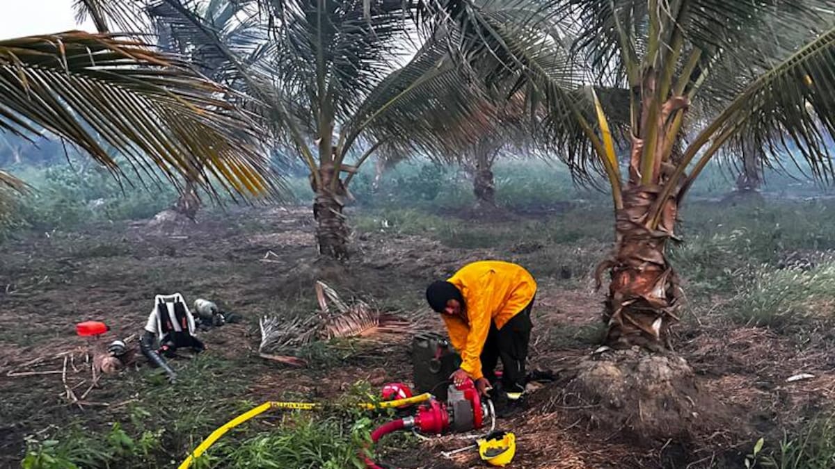 Liquidan incendio forestal que afectó más de 40 hectáreas en el Vía Parque Isla de Salamanca