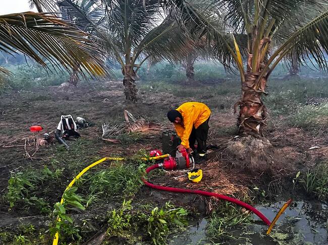 Liquidan incendio forestal que afectó más 40 hectáreas en el Vía Parque Isla de Salamanca. Foto: Gobernación del Magdalena