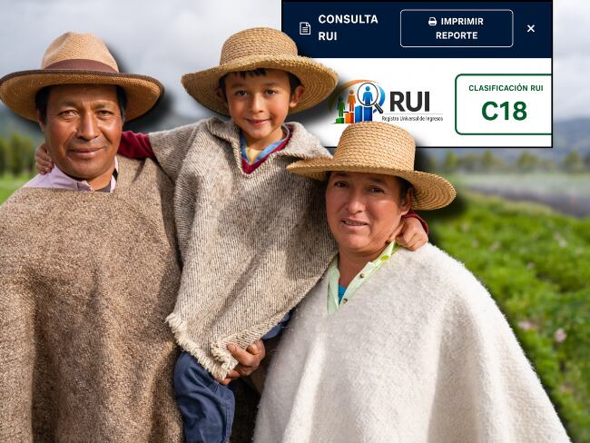 ¿Qué significa C18 en el RUI? Ayudas y subsidios que recibe el último nivel del grupo C. Getty Images