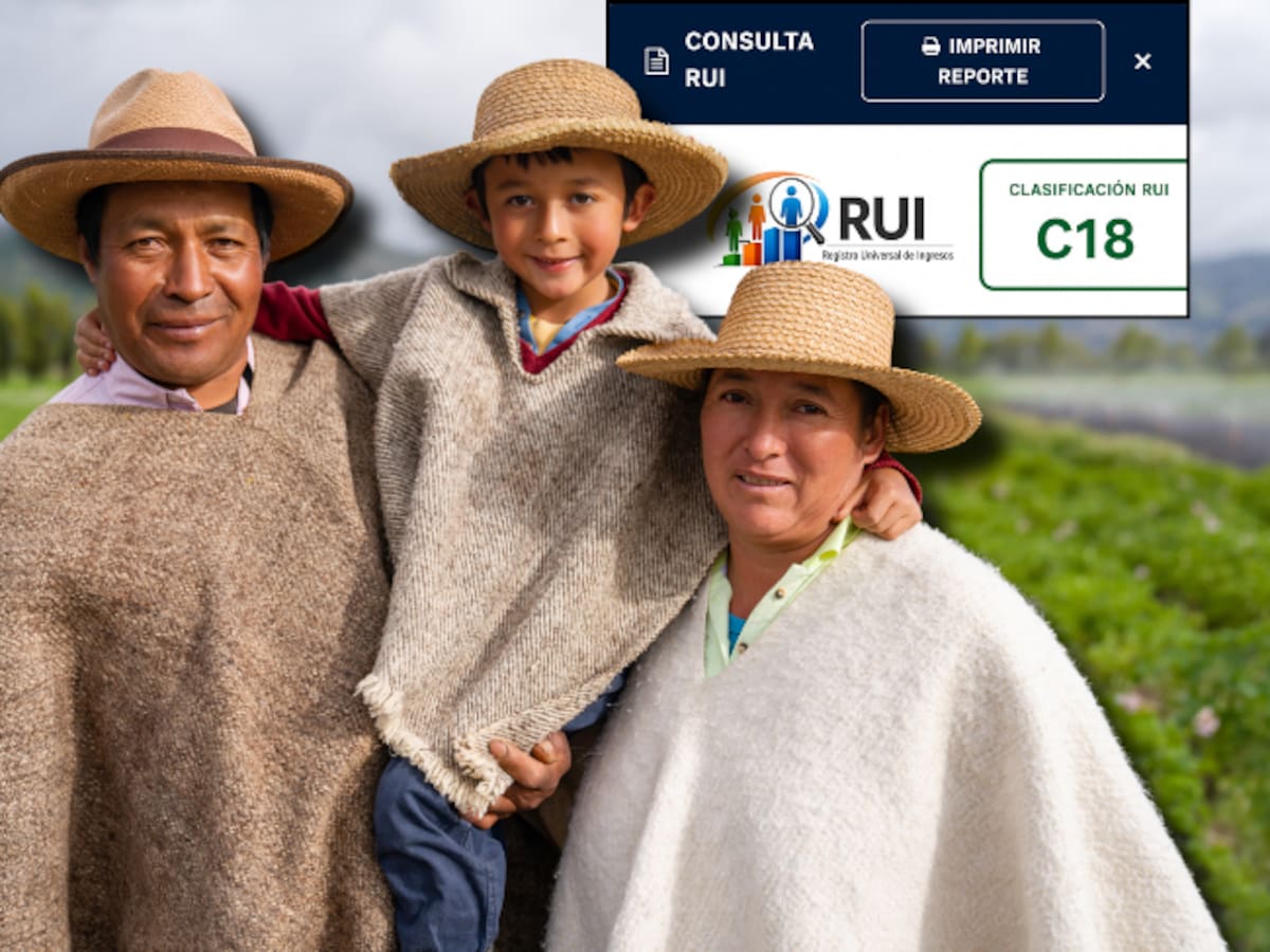 ¿Qué significa C18 en el RUI? Ayudas y subsidios que recibe el último nivel del grupo C