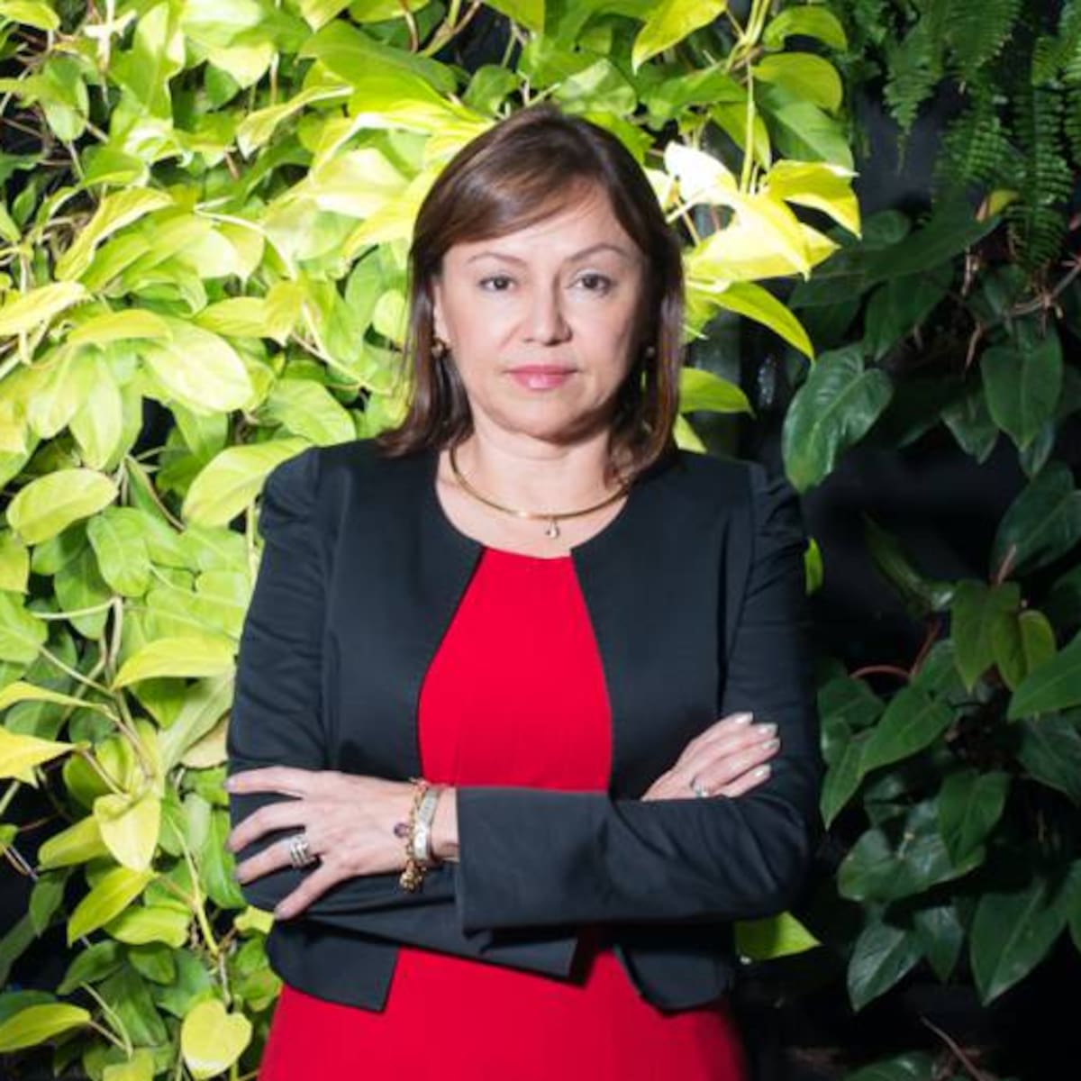 Gremios del Caribe respaldan a nueva ministra de Minas y plantean agenda energética