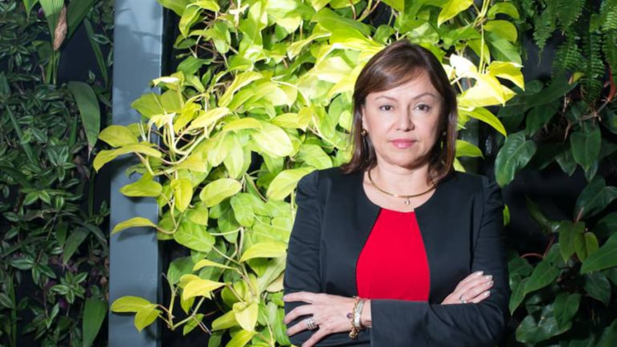 María Nohemí Arboleda, nueva ministra de Minas y Energía del gobierno de Abelardo de la Espriella