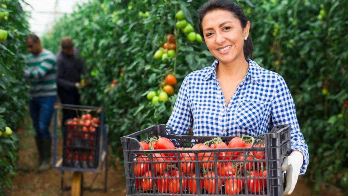 Empresas del Magdalena podrán llevar sus productos y servicios al mundo