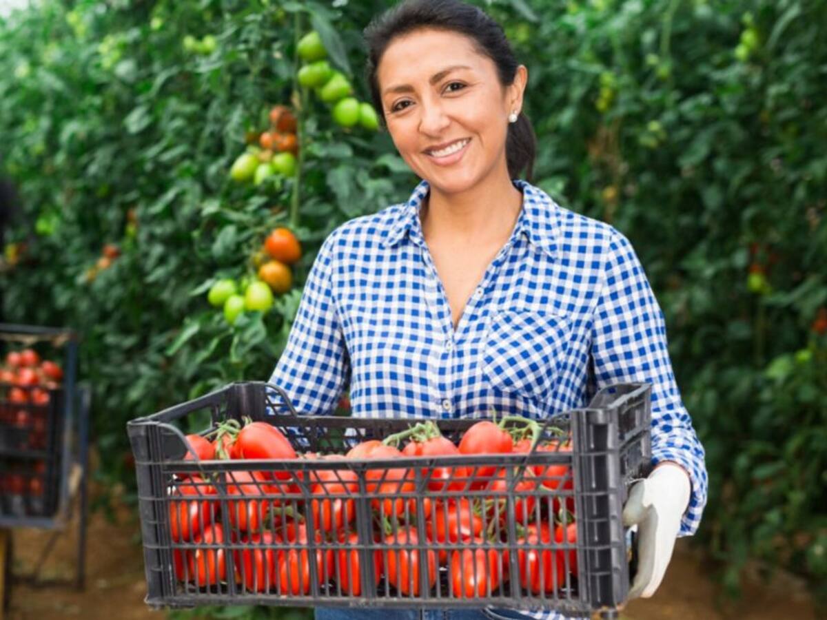Empresas del Magdalena podrán llevar sus productos y servicios al mundo