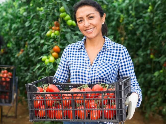 Empresas del Magdalena podrán llevar sus productos y servicios al mundo