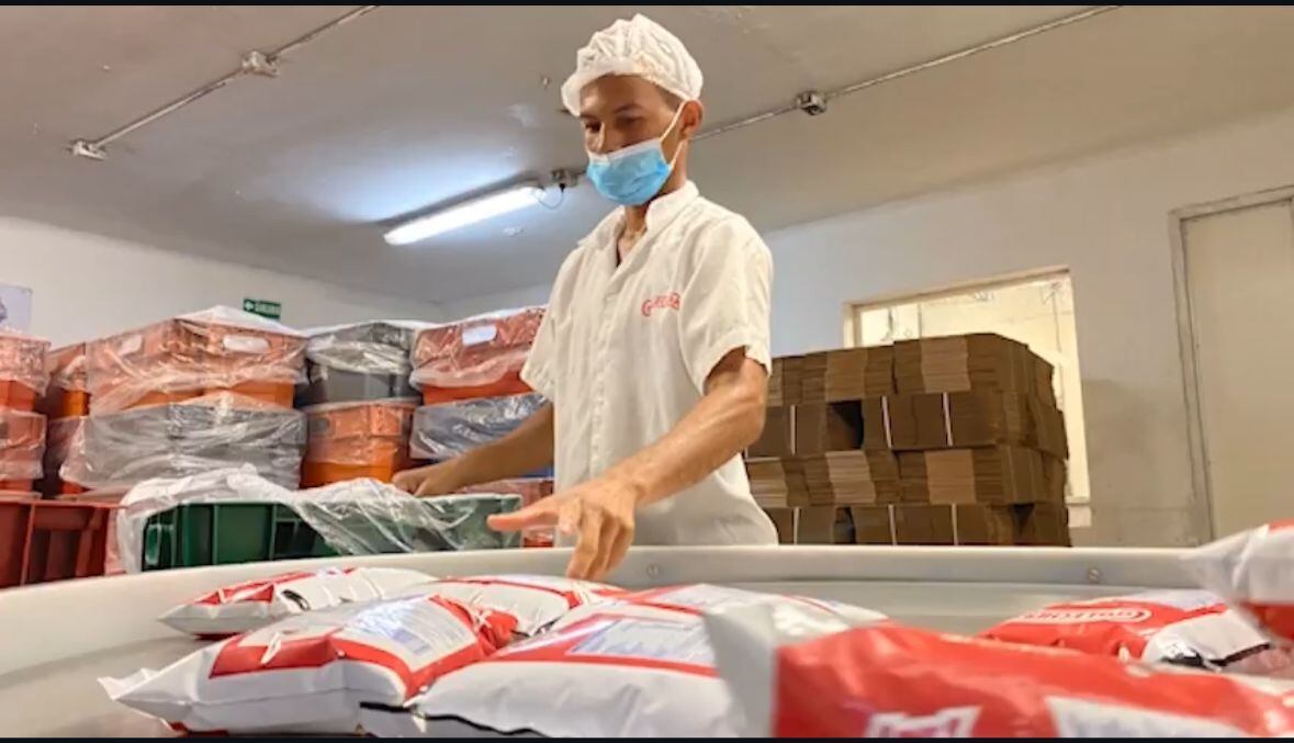 Trabajador de Coolechera