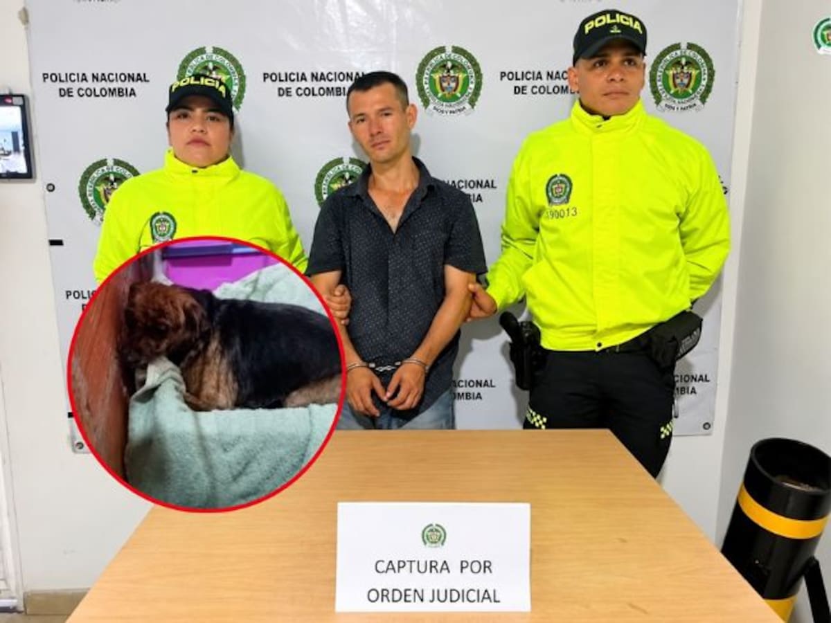 Por primera vez en Colombia judicializan en Santander a un hombre por acceso carnal a un animal