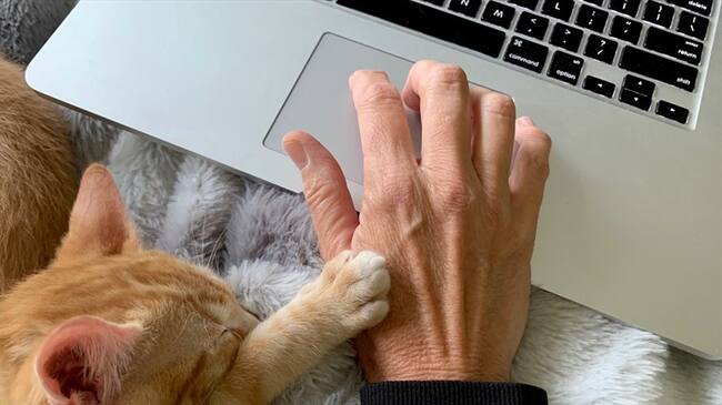 ¿Qué significa "desconectarse" del trabajo hoy en día?. Foto: Getty Images